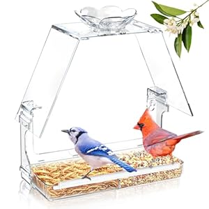 Window Bird Feeder with Large Viewing, Bird House-Shaped Design, Includes Non-Marking Self-Adhesive Hooks & Suction Cups, Clear View Bird Watching for Bird Lovers & Cats