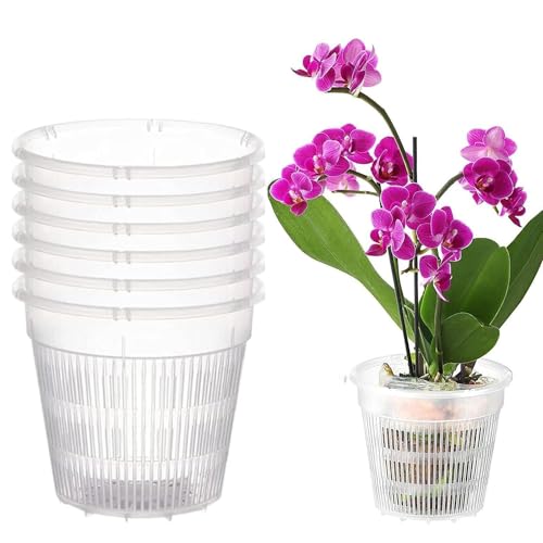 Youning Lot de 6 pots à orchidées, transparents, respirants, en plastique, avec trous, pour orchidées, semis, plantes succulentes, plantes en pot (14 cm)