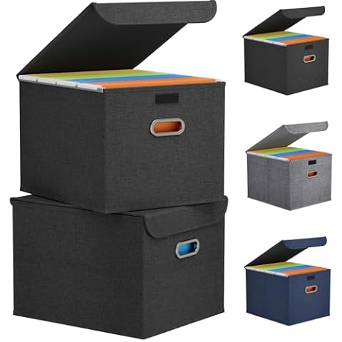 Lifewit File Organizer Box (2 Pack) Cover