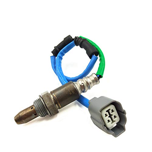 41zG4x8dYdL.jpg
