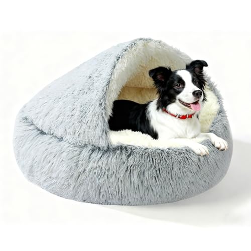 S𗎂錢pxbh ӂӂʂ ybgxbh 20|hȉA傫ȓAxbh \ ~ L̑ |bh hAqLp̋Sn̗ǂA mXbv{g (L-80.0 cm)