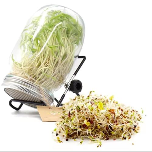 Tarro de germinación de brotes sin moho para aficionados a la salud 8