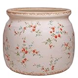 Xiaan Jiaju Ceramic Planters...