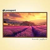passport