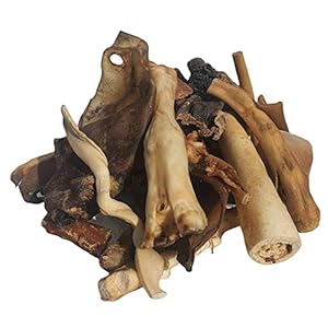 Hygiène dentaire dentaire pour chiens –...