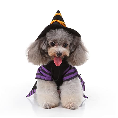 Disfraz Halloween Bruja para Perro Talla M miniatura 3