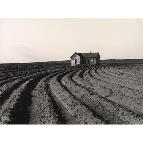 Impression sur toile Dorothea Lange Tractored Out 76x101 cm pour décoration intérieure