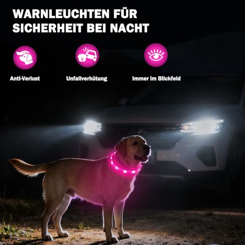 Nepfaivy Leuchthalsband Hund USB Aufladbar - Wasserdichtes Hundehalsband Leuchtend mit Verstellbarer Länge, LED Halsband für Hunde mit 4 Beleuchtungsmodi für Sicherheit, Rosa
