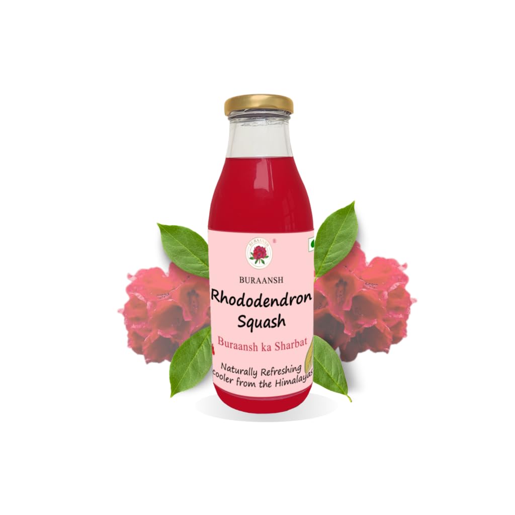 BURAANSH Rhododendron Squash - Buransh ka Sharbat, Natural Cooler, Traditional Recipe (Pack of 1), Glass Bottle (B0D1GBQ79F) Amazon Price History, Amazon Price Tracker