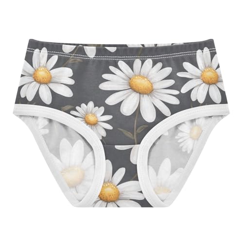 Wusikd Daisies Girls' Underwear Cotton White Girls Briefs Soft Toddler Underwear 2T