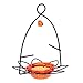 Bird's Choice Flower Oriole Bird Feeder Small Orange