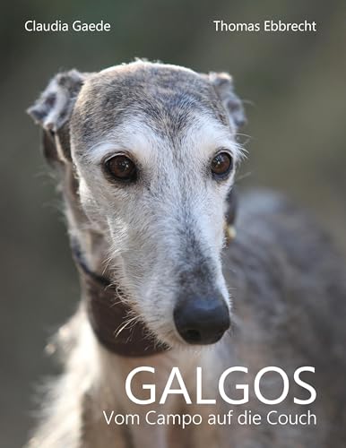 Galgos: Vom Campo auf die Couch