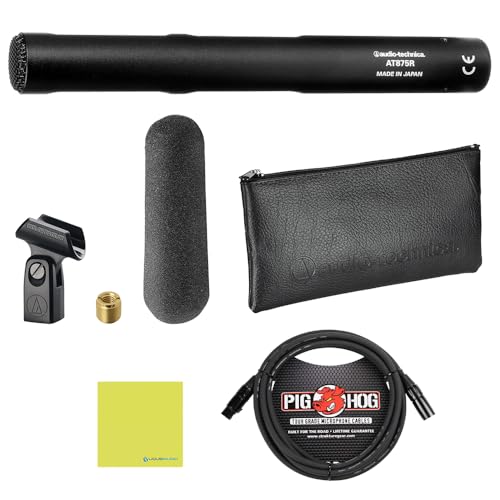 Liquid Audio Audio Technica AT875R Line + Gradient Condenser Microphone Bundle w/Pig Hog PHM10 8mm Mic Cable Polishing Cloth