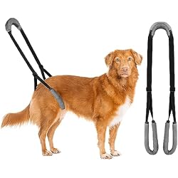 Andador Y Displasia De Caderas Lollanda Andador Trasero para Perros, Ayuda Trasera para Perros, Arnés para las patas traseras, Andador Perros para Apoyo a Perros Enfermos, Perros Mayores, Promueve la Movilidad del Perro (Negro)