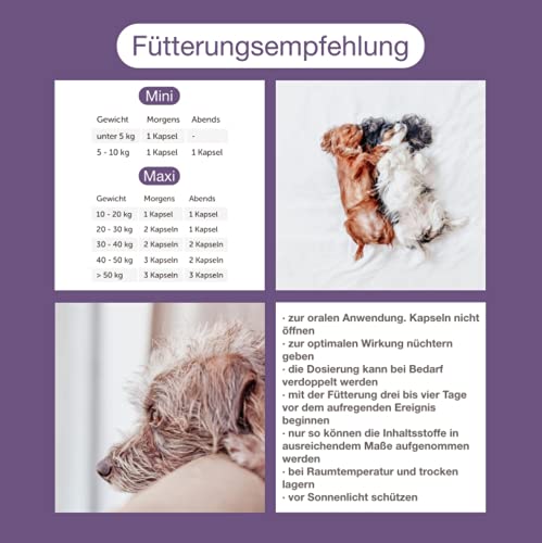 CaniMove Relax mini - 30 Kapseln (a 390 mg), Ergänzungsfuttermittel für Hunde zur Beruhigung und Entspannung auf natürliche Weise durch Casein (Casozepin), Tryptophan, L-Theanin, B6 und Inositol