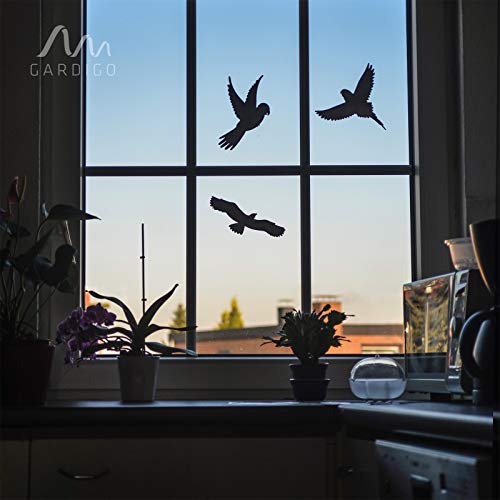 Vogelschutz-Aufkleber Für Fenster – 12 Stück Greifvogel-Silhouetten In Dunkelgrau