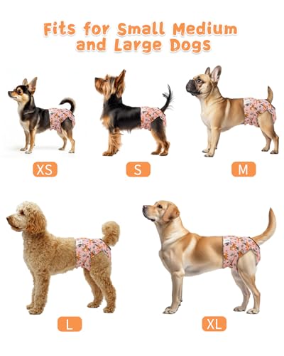Image of CuteBone Washable Female Dog Diapers 4 Pack Reusable Doggie Heat Diapers for Period FMG07XL