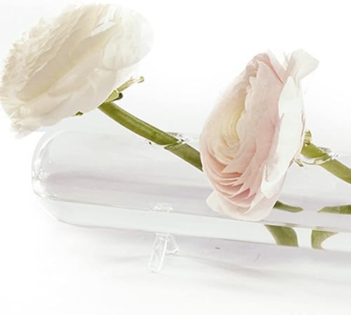 Miniatura 2 de Chive Florero de flores "Hudson Flute" con múltiples cámaras, bonitos y hermosos jarrones de vidrio para flores y plantas de interior, grande (4