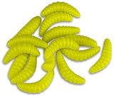 Storfisk fishing & more