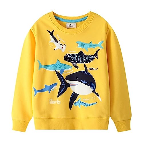 Boys Girls Hoodies Toddler Boys Sweatshirts Print Patterned Long Sleeve Pullover Crewneck Tops for (Yellow, 3-4 Years)