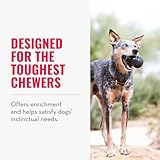 KONG Extreme Hundespielzeug - Apportier- und Kauspielzeug für Hunde mit starkem Biss - Leckerli-Spender - Strapazierfähiges Naturkautschukmaterial - Für Kleine Hunde