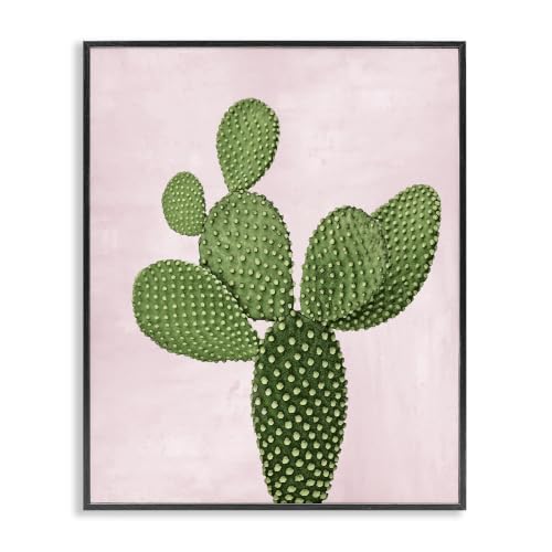 Stupell Industries 'Prickly Pear Over Pastel Pink'| Framed Giclee Art