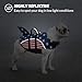 Queenmore Cat Life Jacket, XXS Extra Small Dog Life Vest for Swimming, American Flag Puppy Swimming Vest for Boating, Lightweight Small Dog Shark Swim Jacket with Rescue Handle/Leash Hook