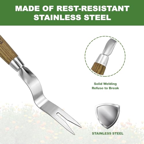 Weed Puller Tool, Hand Weeder with Good Leverage for Easy Pulling Weeds, Heavy Duty Stainless Steel Dandelion Puller Tool, Weed Digger Fork with Comfortable Wood Handle for Removal Dandelion crabgrass - Thumbnail 6