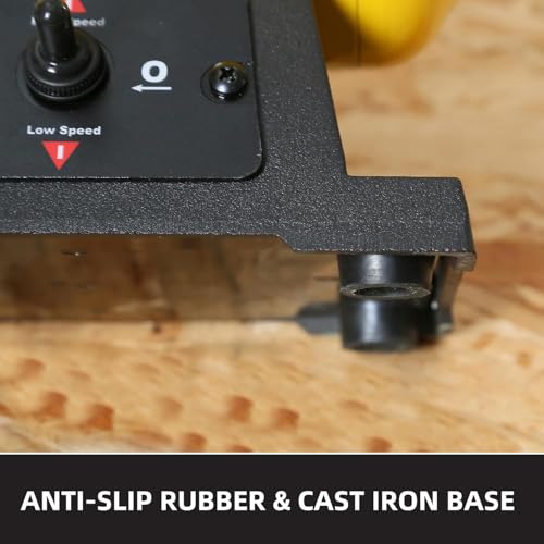 Dual Speed Bench Buffer Polisher