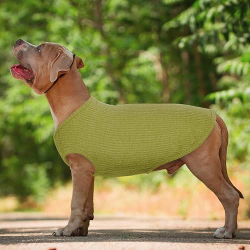 Hundeshirt für Mittelgroße Hunde | Sommer Hund T-Shirt Atmungsaktiv & Leicht | Weich & Bequem, Rundhals Design | Hunde Bekleidung | Schlanke Labrador Retriever, Golden Retriever (Chartreste XXL)