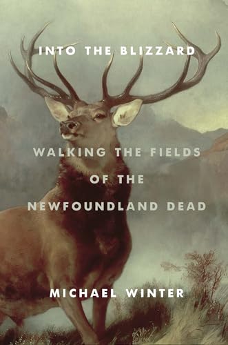 Into the Blizzard: Walking the Fields of the Newfoundland Dead