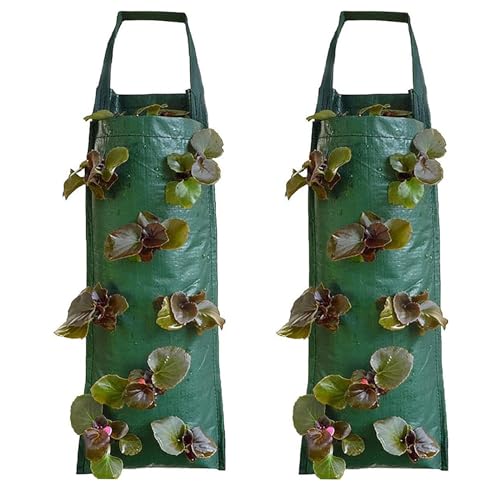 Oriental eLife Bolsa de plantación de fresas, 2 bolsas colgantes para plantas, bolsas para plantas, bolsas colgantes para plantas, fresas para jardín, plantas, flores, verduras