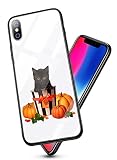 Suhctup Coque Compatible pour iPhone 7/8 Etui en Revêtement Arrière en Verre Trempé avec Halloween Pumpkins Fantôme Citrouille Sorcière Motif Design Silicone TPU Souple Bumper Pare-Chocs(Chat)
