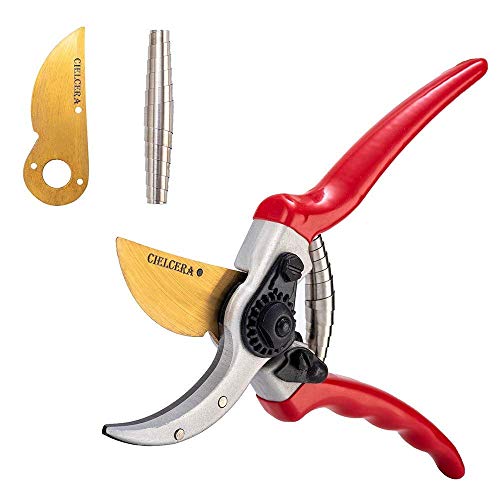 Titanium Pruning Shears - Best Pruning Tools,Pruning Snip,Tree Trimmer, Garden Shears, Hand Pruner-Included cow leather Sheath, Shrub & Hedge Clippers.