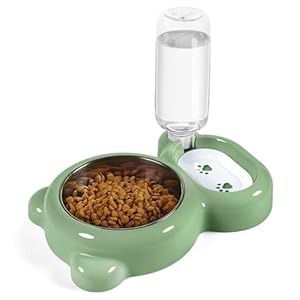 Dog Bowls, Cat Food and Water Bowl Set with Water Dispenser and Stainless Steel Bowl for Cats and Small Dogs – Green