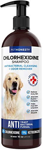 PetHonesty Antibacterial & Antifungal Chlorhexidine Shampoo 16 oz. w/Ketoconazole & Aloe for Dogs & Cats, Treats Itching, Hot Spots, Ringworm, Pyoderma & Allergies, Anti-Odor Dog Shampoo