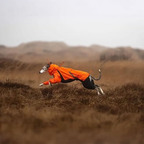Non-Stop Dogwear Fjord Regenmantel Overall, Reflektierend, Orange-Schwarz, Wasserdichter Hundemantel mit 3M Details (65)