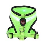 GANAZONO USB Rechargeable LED Dog Vest Summer Puppy Vest Breathable Fabric Glowing for Night Safety Practical Dog Summer Clothing