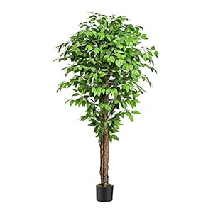6.2ft. Ficus Artificial Trees with 3 Natural Curved Trunks, 74″ Tall Lush Faux Tree for Home Decor Indoor, Green Lifelike Fake Ficus Tree Artificial Plants