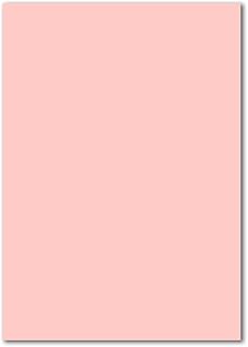 Neuser Papel DIN A4, 160 g/m², color hielo, color 16-Rosa 250 Blatt