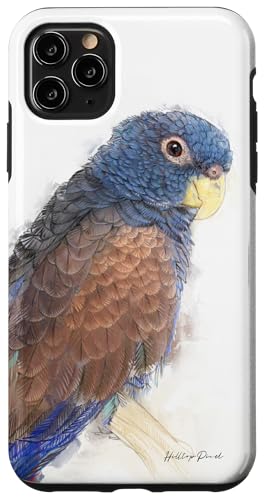 Pionus Parrot �A�[�g���[�N ? �J���t���ȃG�L�]�`�b�N�Ȓ��̃A�[�g�B �X�}�z�P�[�X iPhone 11 Pro Max �p