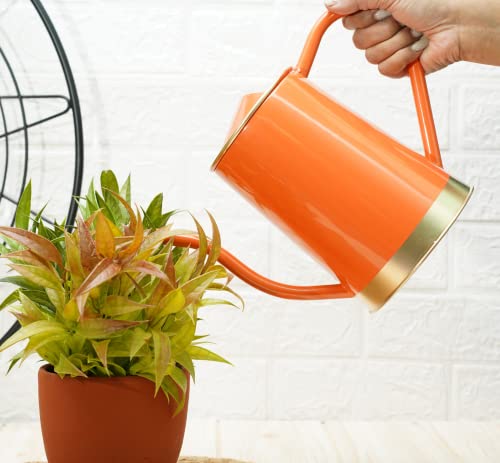 Gold Dust Plant Watering Can, Gardening Watering Can, Terrace Garden Accessories (Orange (1.5 Lt))