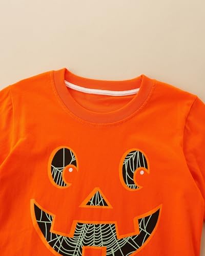 Image of AIWUHE Toddler Cotton Sweatshirt Boys Girls Pullover Long Sleeve Tops 2-6Y
