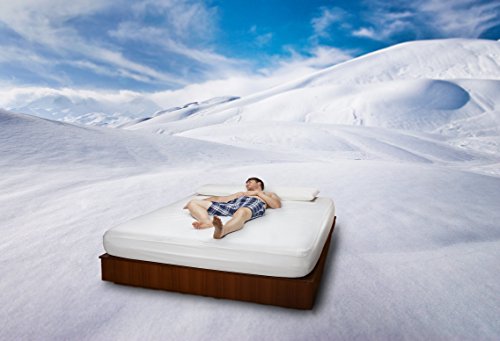 BSensible Polaris, sábana bajera fría y protectora,Tencel, color natural, 80X200