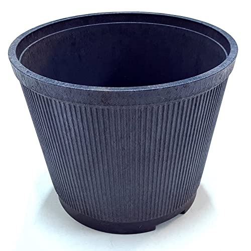 IMJ-Global Base Supporto Piedistallo Vaso per Albero di Natale | Ø31x25cm | capacità 10 Litri | Colore Nero | per Interni Esterni