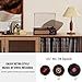 Vinyl Record Player Turntable with Built-in Bluetooth Receiver & 2 Stereo Speakers, 3 Speed 3 Size Portable Retro Record Player for Entertainment and Home Decoration