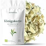 REPLANTEA Cuidamos tu Naturaleza