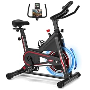 DMASUN Upgraded Exercise Bike for Home Use with LCD Display & Tablet Holder, Silent 0-100% Level Resistance Indoor Cycling Bike, Professional Stationary Bike with Comfortable Seat, 350/360LBS Capacity