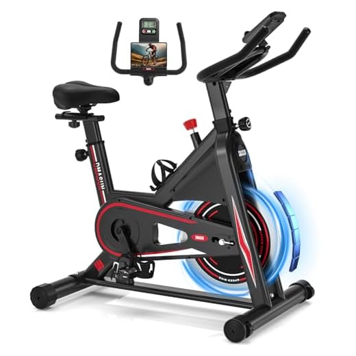 DMASUN Bicicleta Estática en Casa con Resistencia Ajustable, Bicicleta Spinning Silenciosa con Monitor LED, Cómodo Cojín de Asiento, Asientos Cómodos Transpirables Capacidad de 160 KG
