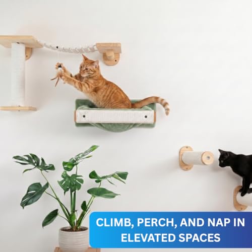 Image of Wall-Mounted Cat Perch with Scratching Post, Plush Cushion, Beige and Grey, Space-Saving Hammock Bed, (24X6 INCH) FURR- 151 (Green)